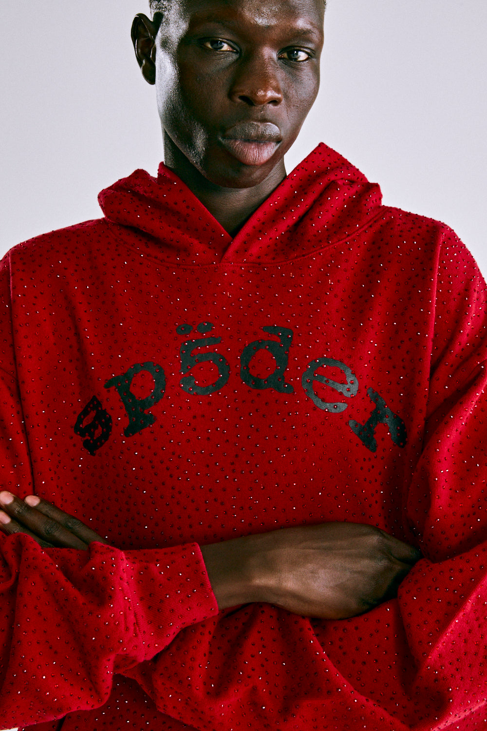 VVS HOODIE